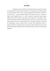 Darbo laiko sąnaudos 16 puslapis