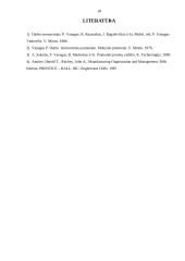 Darbo laiko sąnaudos 17 puslapis