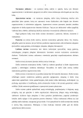 Darbo laiko sąnaudos 4 puslapis