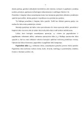 Darbo laiko sąnaudos 6 puslapis