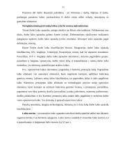 Darbo laiko sąnaudos 10 puslapis