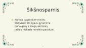 Jo Nesbo "Šikšnosparnis" 5 puslapis