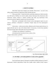 Darbo motyvavimas 2 puslapis