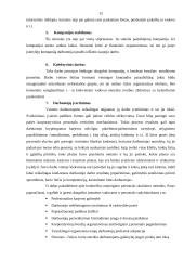 Darbo motyvavimas 13 puslapis