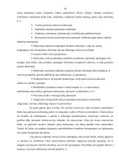 Darbo motyvavimas 14 puslapis