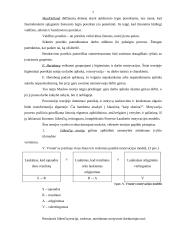 Darbo motyvavimas 5 puslapis