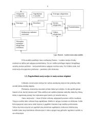 Darbo motyvavimas 7 puslapis