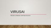 Kompiuteriniai virusai ir virusų situacija Lietuvoje