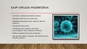 Kompiuteriniai virusai ir virusų situacija Lietuvoje 3 puslapis