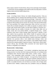 Pagrindiniai literatūros kūriniai pasiruošti egzaminui 2 puslapis