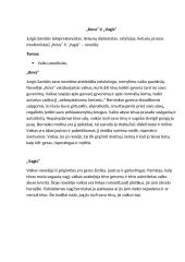 Pagrindiniai literatūros kūriniai pasiruošti egzaminui 6 puslapis