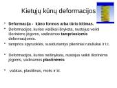 Kietieji kūnai ir jų skirstymas 10 puslapis