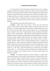 Darbo sąlygos organizacijose 7 puslapis