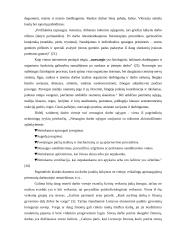 Darbo sąlygos organizacijose 8 puslapis