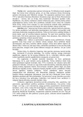 Tarptautinės pinigų sistemos reformavimas 5 puslapis