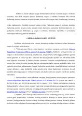 Darbuotojų sauga įmonėse  3 puslapis