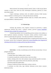 Darbuotojų sauga įmonėse  7 puslapis