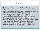 Žvejyba bei akvakultūra 2 puslapis