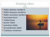 Žvejyba bei akvakultūra 4 puslapis