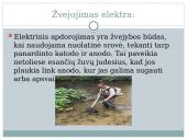 Žvejyba bei akvakultūra 8 puslapis