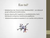 Vitaminas B12 2 puslapis