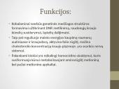 Vitaminas B12 3 puslapis