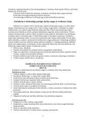  Darbų saugos reikšmė ir uždaviniai 2 puslapis