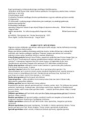  Darbų saugos reikšmė ir uždaviniai 11 puslapis