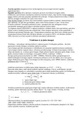  Darbų saugos reikšmė ir uždaviniai 12 puslapis