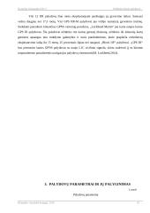 Dirbtiniai žemės palydovai ir jų parametrai 17 puslapis