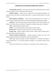 Dirbtiniai žemės palydovai ir jų parametrai 2 puslapis