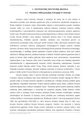 Dirbtiniai žemės palydovai ir jų parametrai 6 puslapis