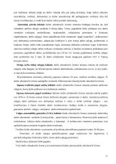 Pagrindiniai darbo užmokesčio organizavimo principai, modeliai, formos 11 puslapis