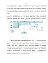 Darbo vietos ergonominiai reikalavimai 12 puslapis