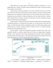 Darbo vietos ergonominiai reikalavimai 13 puslapis