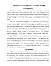 Darbo vietos ergonominiai reikalavimai 3 puslapis