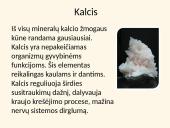 Mitybai svarbios mineralinės medžiagos 2 puslapis