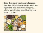 Mitybai svarbios mineralinės medžiagos 3 puslapis