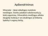 Mitybai svarbios mineralinės medžiagos 8 puslapis