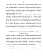 Darbo vietų įrengimas 13 puslapis