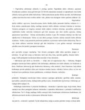 Darbo vietų įrengimas 20 puslapis