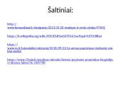 Įdomybės apie Popiežius 7 puslapis