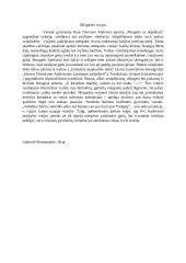 H. K. Anderseno "Mergaitės su degtukais" vizijos