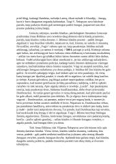 Klaidos prasmė literatūroje 2 puslapis