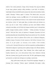 Dievoieškos tema lietuvių literatūroje 3 puslapis
