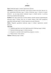 Darbuotojų saugos ir sveikatos organizavimas Lietuvoje 3 puslapis