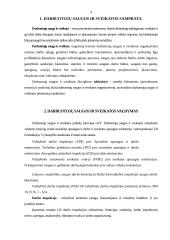 Darbuotojų saugos ir sveikatos organizavimas Lietuvoje 4 puslapis
