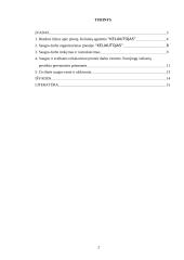 Darbuotojų saugos ir sveikatos užtikrinimo priemonės kelionių agentūroje "Keliautojas" 2 puslapis