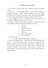 Darbuotojų saugos ir sveikatos užtikrinimo priemonės kelionių agentūroje "Keliautojas" 13 puslapis