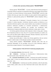 Darbuotojų saugos ir sveikatos užtikrinimo priemonės kelionių agentūroje "Keliautojas" 4 puslapis